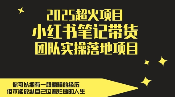 2025超火项目，副业最佳选择，小红书笔记带货团队实操落地项目，，轻松日入5张-百盟网