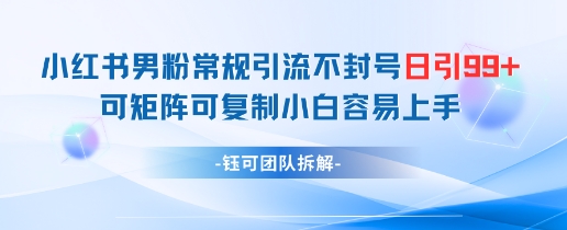 小红书男粉常规引流不封号日引99+变现简单 可矩阵可复制小白容易上手-百盟网