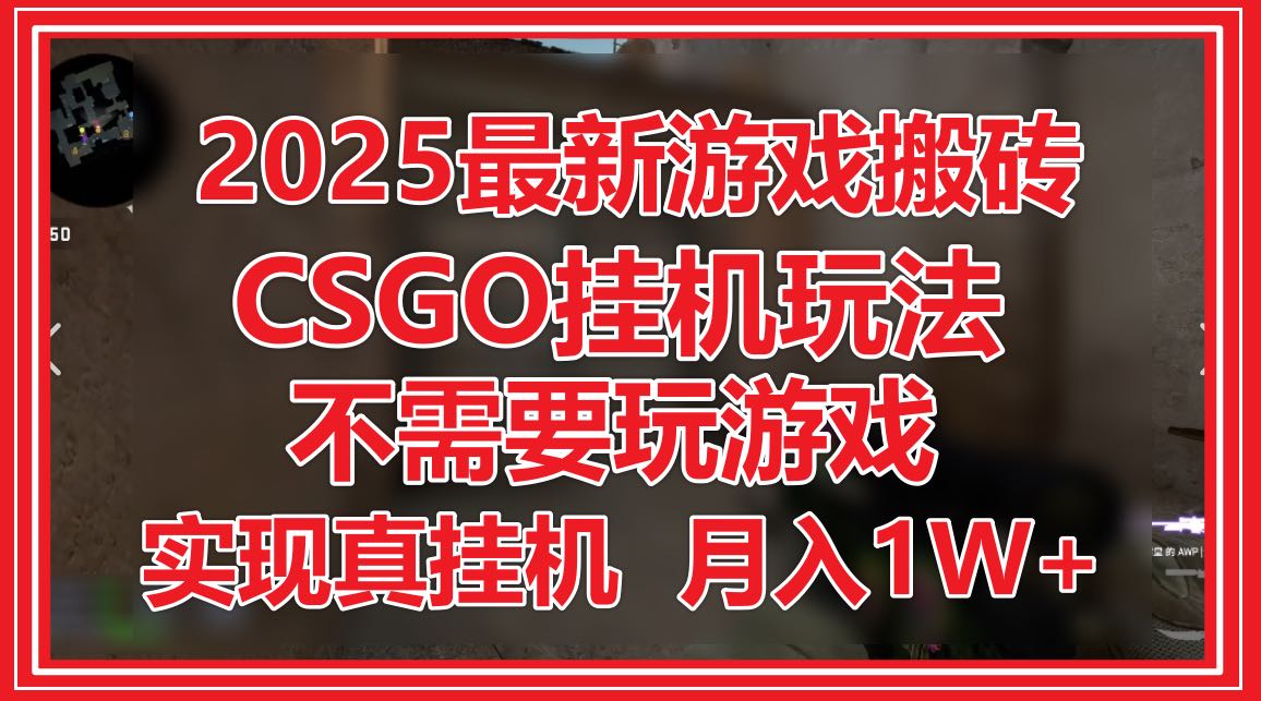 2025最新游戏搬砖，CSGO挂机，不需要玩游戏，实现真挂机，月入1W+-万利网