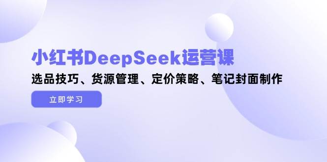 小红书DeepSeek运营课，选品技巧、货源管理、定价策略、笔记封面制作-有量联盟