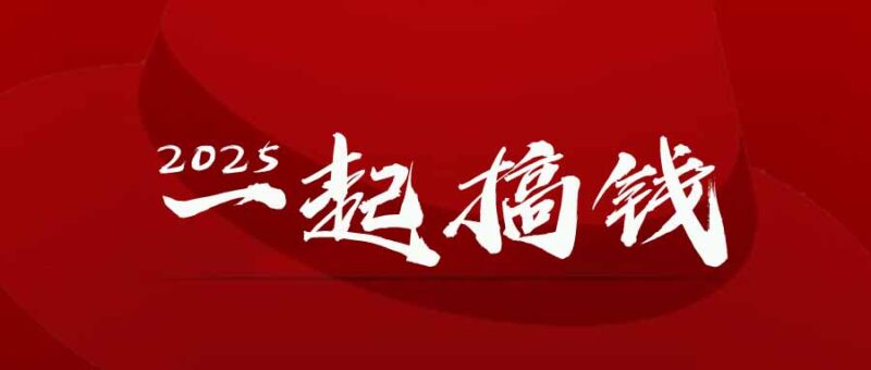 2025年,请“不择手段”去搞钱!-百盟网