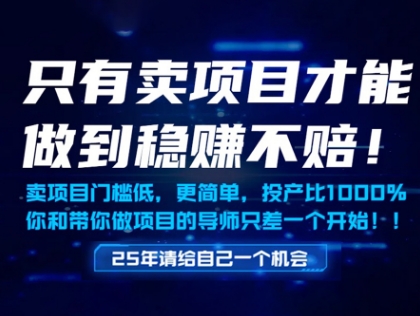 只有卖项目才能做到稳挣不赔，门槛低，更简单，你也可以年入百个W【揭秘】-万利网