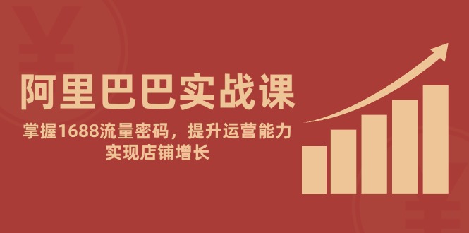 阿里巴巴实战课：掌握1688流量密码，提升运营能力，实现店铺增长-三玖社区