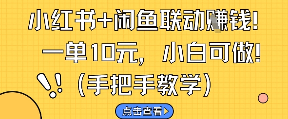 小红书+闲鱼联动挣钱，一单10元，小白可做-三玖社区