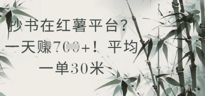 抄书在小红薯平台？平均一单30米，一天收益几张！-三玖社区