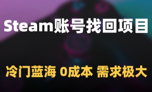 Steam账号找回项目，冷门蓝海，0成本，需求极大-时光资源网