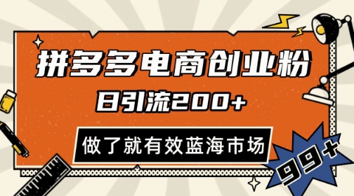 拼多多引流电商创业粉，日引200+，可矩阵放大，做了就有效【揭秘】-时光资源网