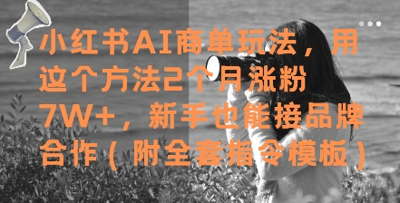 小红书AI商单玩法，用这个方法2个月涨粉7W+，新手也能接品牌合作(附全套指令模板)-时光资源网