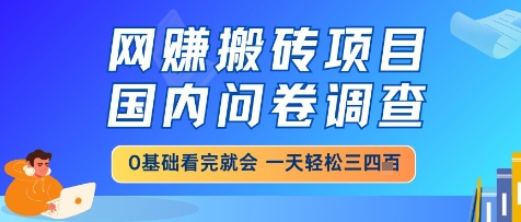 网创搬砖项目，国内问卷调查，小白轻松上手，一天三四张的也不难，干就完了【揭秘】-万利网