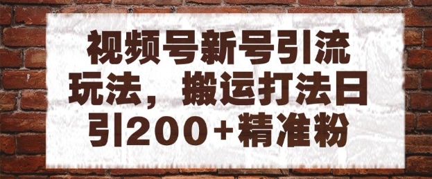 视频号新号引流玩法，搬运打法日引200+精准粉，可矩阵放大【揭秘】-有量联盟