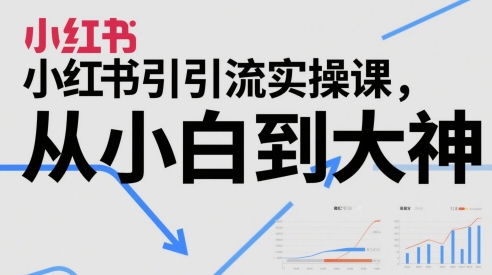 小红书引流实操课，从小白到大神-优优乐