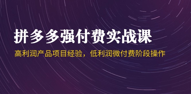 拼多多强付费实战课-44期，高利润产品项目经验，低利润微付费阶段操作-百盟网