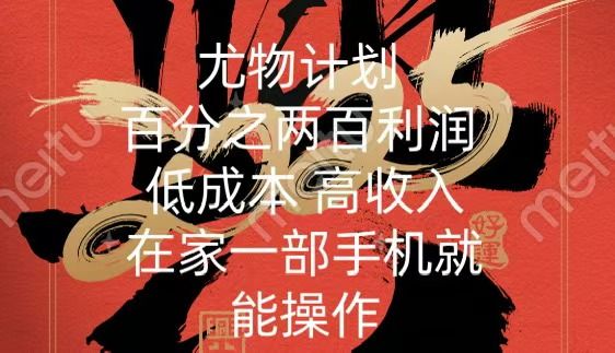 尤物计划-200％暴利 低成本 高收入 一部手机即可操作-百盟网