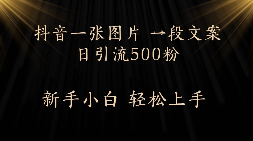 抖音一张图片，一段文案日引流500粉，新手小白 轻松上手-百盟网