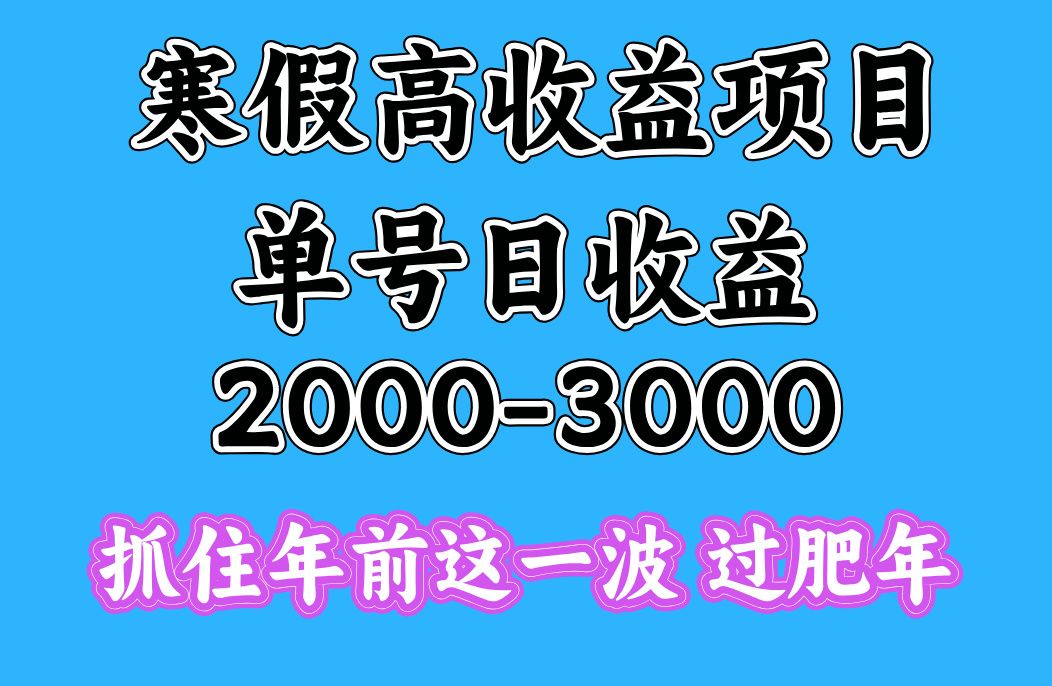 寒假期间一天收益2000-3000+，抓住年前这一波-百盟网