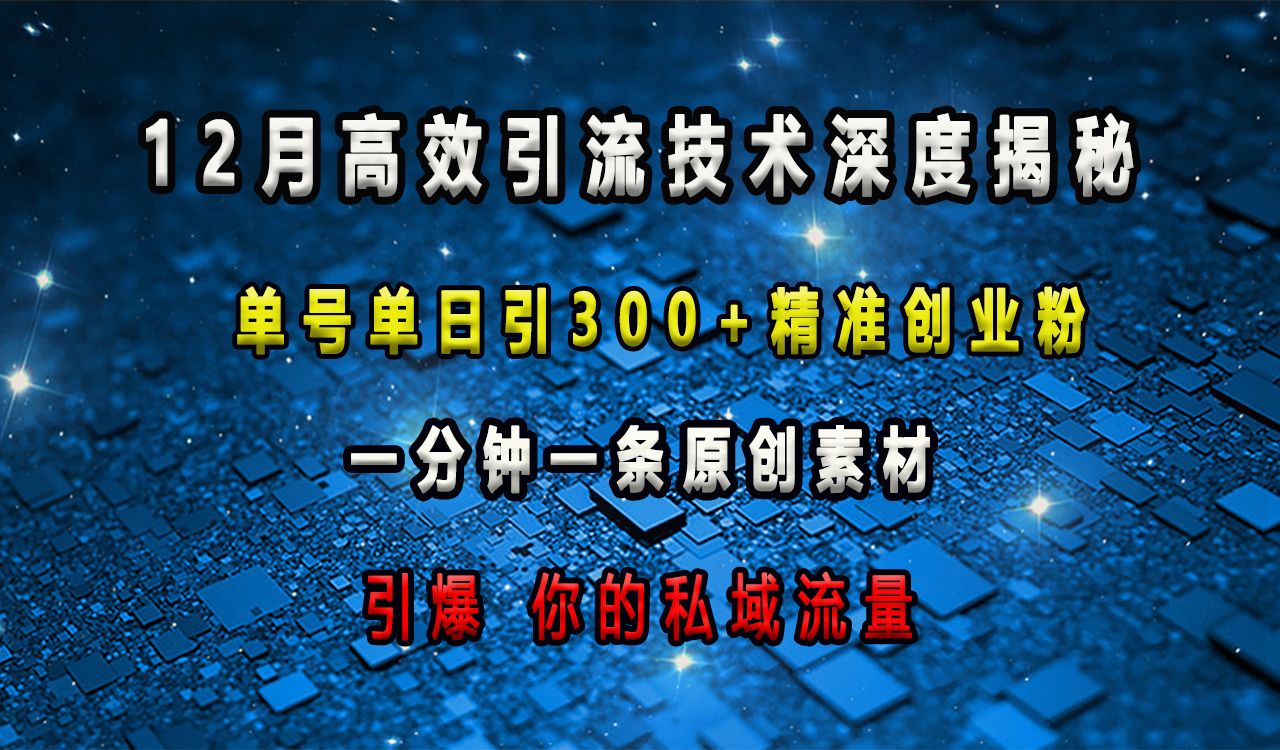 12月高效引流技术深度揭秘 ，单号单日引300+精准创业粉，一分钟一条原创素材，引爆你的私域流量-百盟网