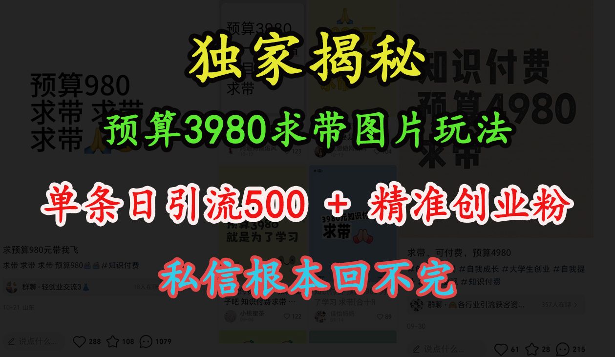 “小红书”预算3980求带 图片玩法，单条日引流500+精准创业粉，私信根本回不完-百盟网