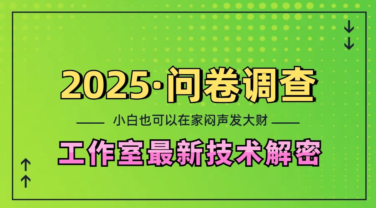 2025《问卷调查》最新工作室技术解密：一个人在家也可以闷声发大财，小白一天200+，可矩阵放大-百盟网