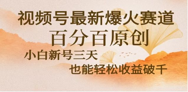 视频号独家玩法，老年养生赛道，无脑搬运爆款视频，日入2000+-百盟网