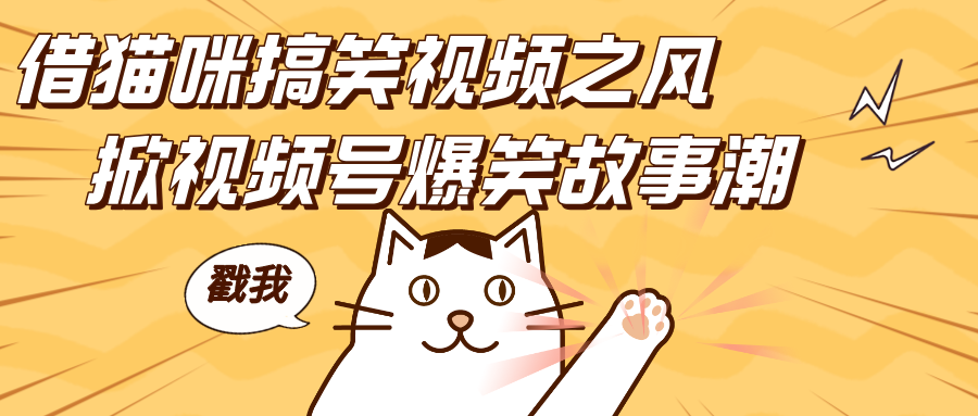 借猫咪搞笑视频之风，掀视频号爆笑故事潮，轻松日赚四位数，开启无门槛赚钱新体验！-百盟网