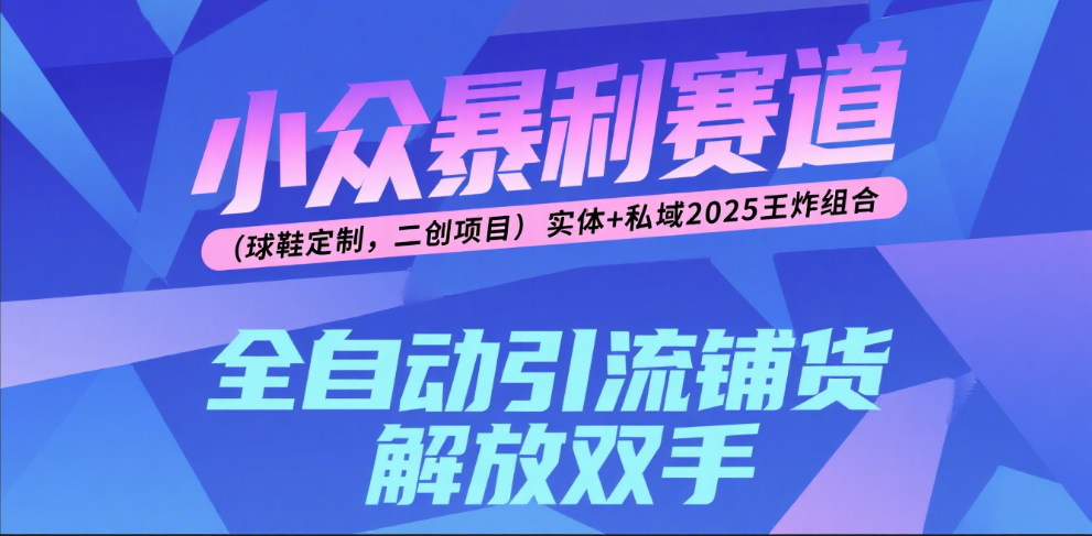 楠—小众暴利赛道（球鞋定制，二创项目）实体+私域2025王炸组合-百盟网