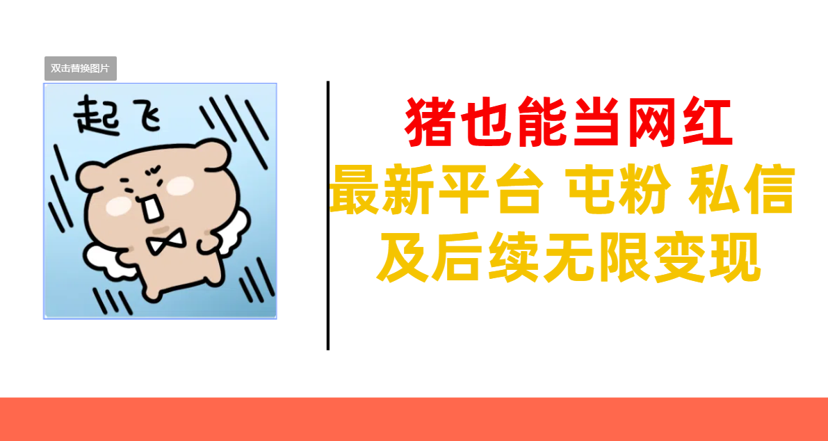 猪也能当网红-最新平台 屯粉 交流 私信 及后续无限变现-百盟网