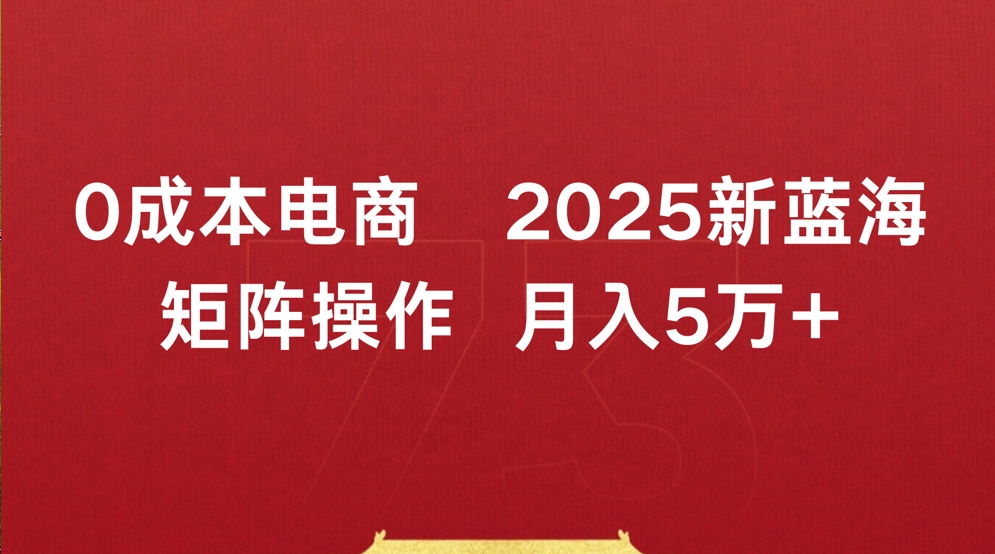 0成本电商2025新蓝海矩阵操作 月入5万+-百盟网