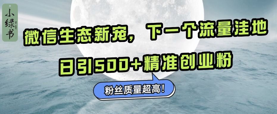 微信生态新宠小绿书：下一个流量洼地，粉丝质量超高，日引500+精准创业粉，-百盟网