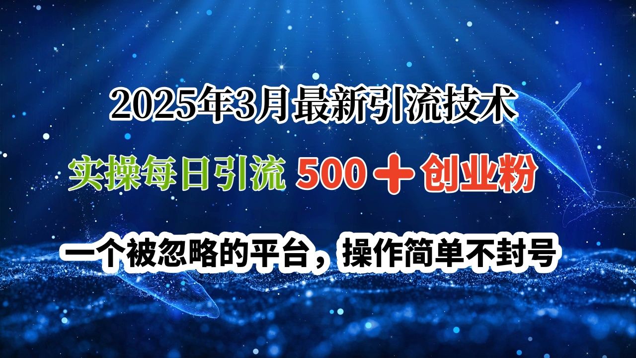2025年3月最新引流技术，实操每日引流500➕创业粉，一个被忽略的平台，操作简单不封号-百盟网