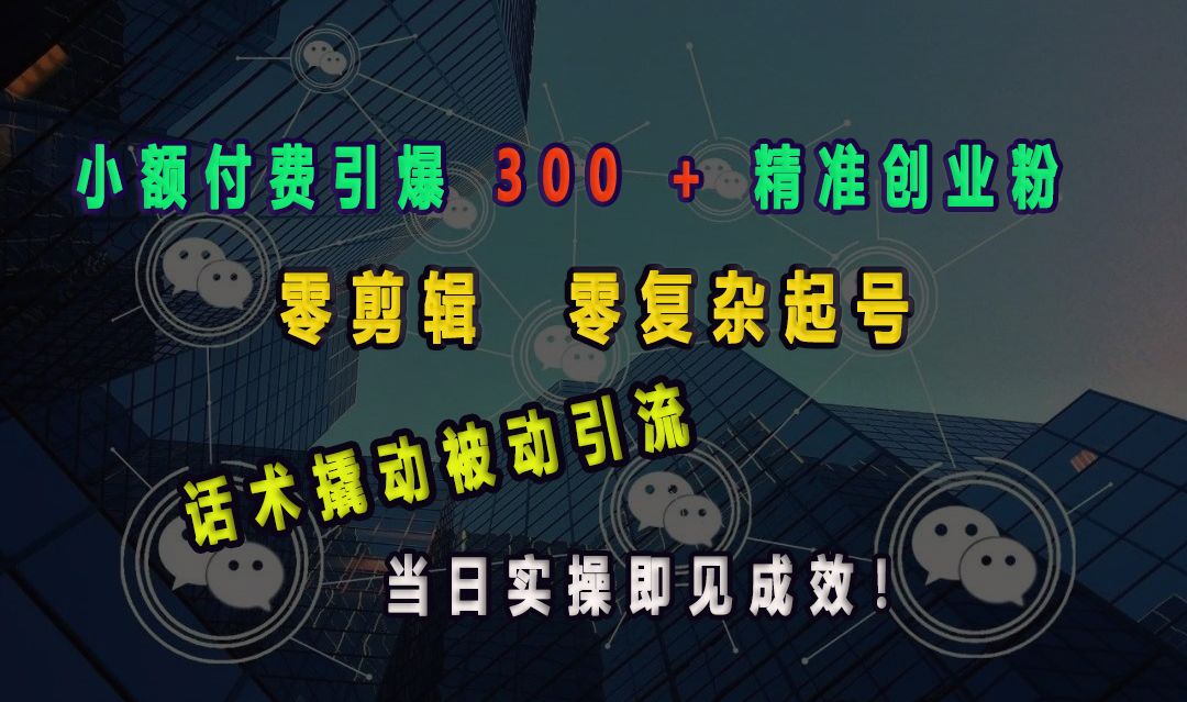小额付费引爆 300 + 精准创业粉，零剪辑、零复杂起号，话术撬动被动引流，当日实操即见成效！-百盟网