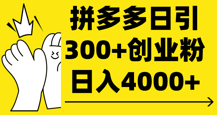 拼多多日引300+创业粉 日入4000+-百盟网