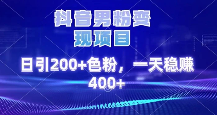 2025最新男粉项目 日引200 轻松月入2w+-百盟网