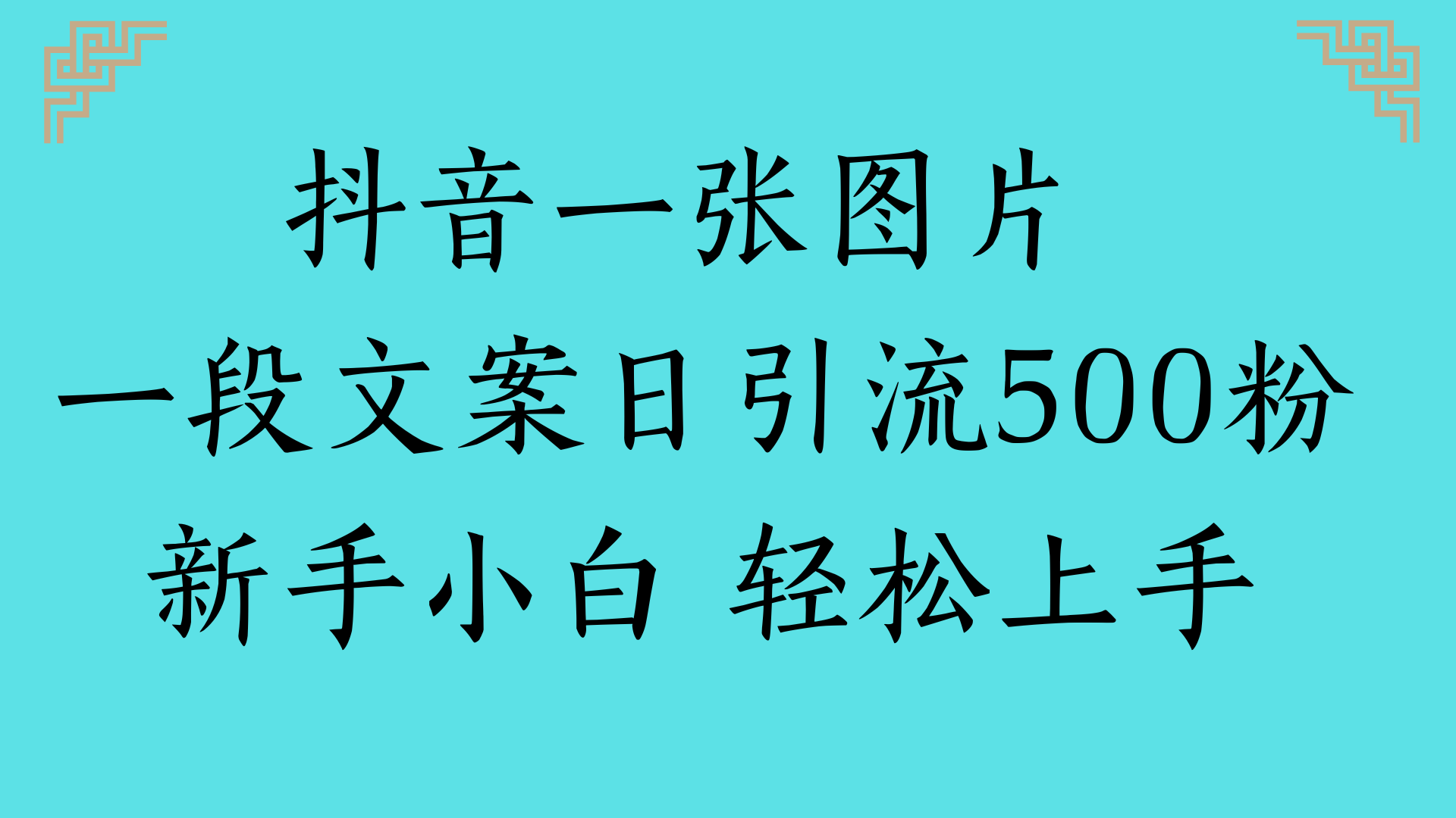 抖音一张图片 一段文案日引流500粉新手小白 轻松上手-百盟网