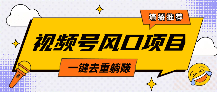 视频号风口蓝海项目，中老年人的流量密码，简单无脑，一键去重，轻松月入过万-百盟网