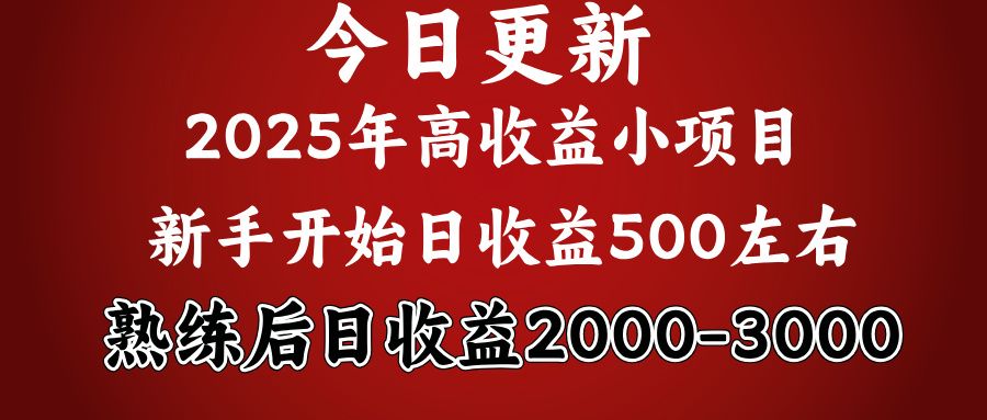 2025开年好项目，新手日收益500+ 熟练掌握后，日收益平均2000多-百盟网