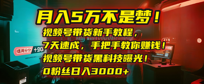 月入5万不是梦！视频号带货新手教程，7天速成，手把手教你赚钱！视频号带货黑科技曝光！0粉丝日入3000+-百盟网