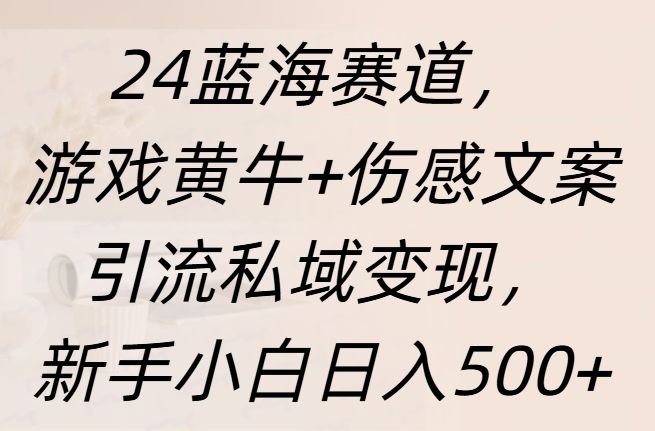 24蓝海赛道，游戏黄牛+伤感文案引流私域变现，新手日入500+-百盟网