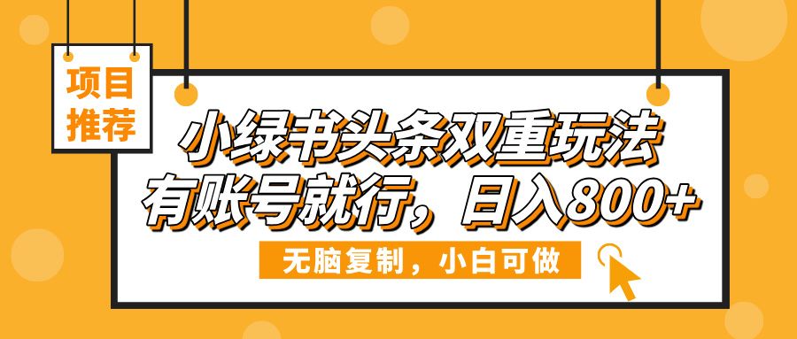 小绿书头条双重玩法，有账号就行，日入800+-百盟网