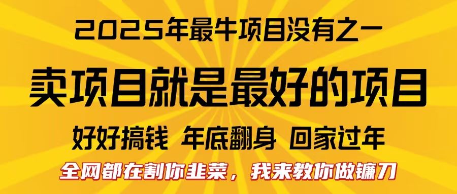 全网都在割你韭菜，我来教你做镰刀。卖项目就是最好的项目，2025年最牛互联网项目-百盟网