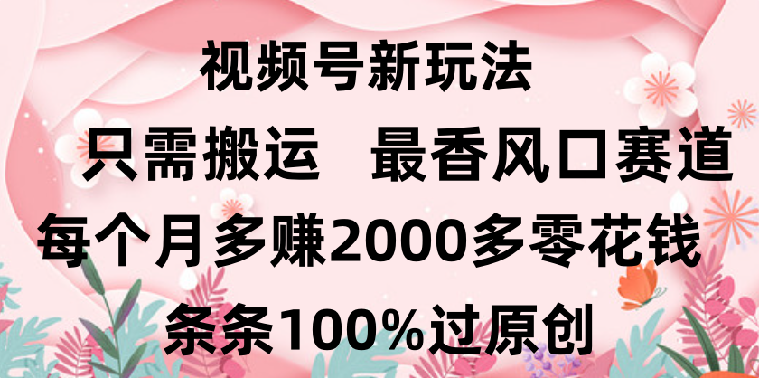 日入2000+，条条100%过原创，视频号最香风口赛道，小白轻松上手-百盟网