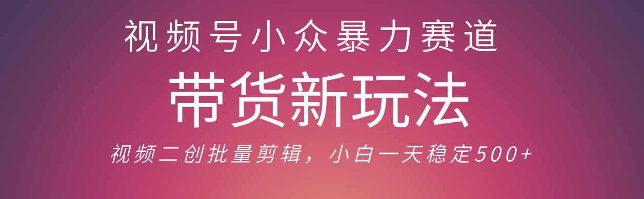 视频号小众暴力赛道，最新带货玩法 小白也能轻松日入500+ 保姆及教程-百盟网