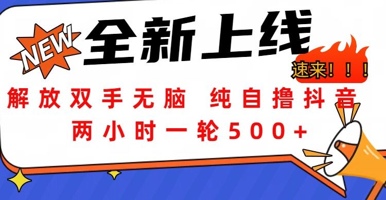 解放双手无脑 纯自撸抖音 两小时一轮500+-百盟网