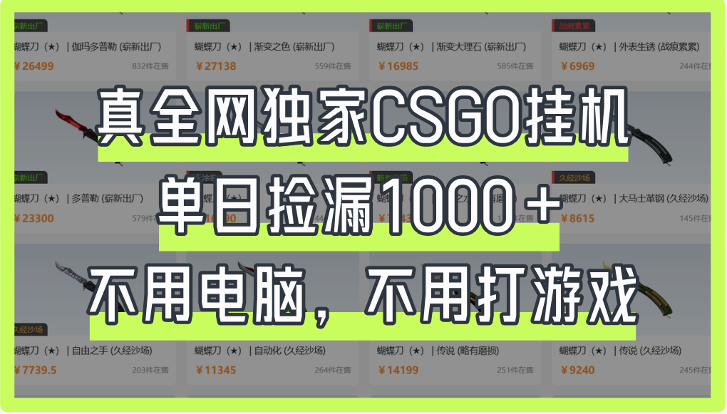 真全网独家CSGO挂机，单日捡漏1000+-百盟网