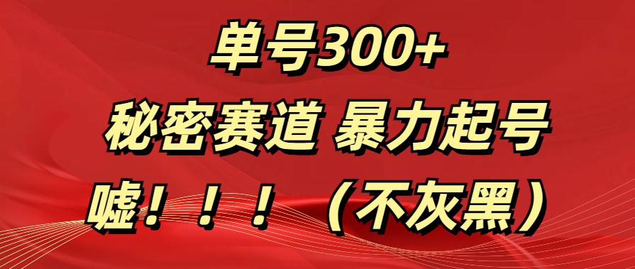 单号300+  秘密赛道 暴力起号  （不灰黑）-百盟网