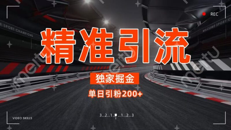 独家野路子精准引流 每日200+-温馨分享网