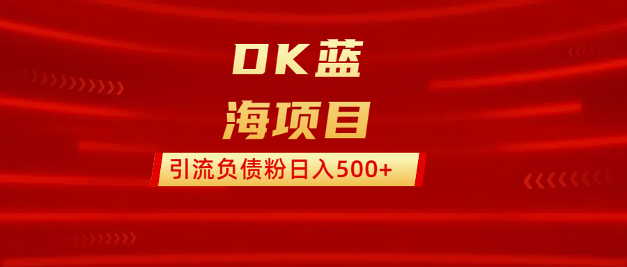 DK蓝海项目  通过，抖音，快手，小红书，引流负债粉日入500+-百盟网