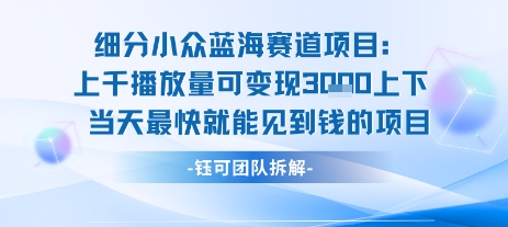 小众蓝海赛道项目：当天变现1k+适合新手操作 +适合长期玩-百盟网