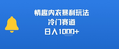 情趣内衣暴利玩法，冷门赛道，日入1k+-项目网