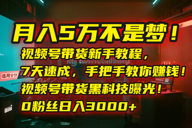 月入5万不是梦！视频号带货新手教程，7天速成，手把手教你赚钱！视频号…-美客咖