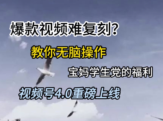 视频号4.0重磅上线，爆款视频难复刻？教你无脑操作宝妈学生党的福利【揭秘】-百盟网
